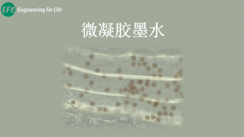 微凝胶墨水制备