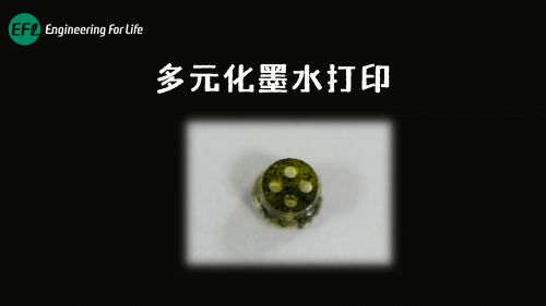 多元化生物墨水解决方案