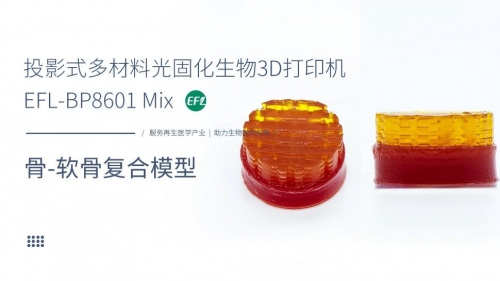 骨-软骨复合模型