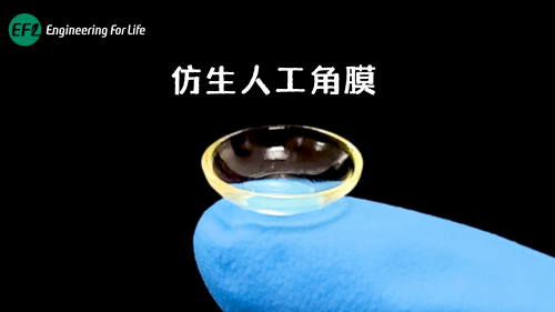 仿生人工角膜