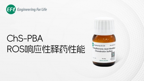 ChS-PBA ROS响应性释药性能