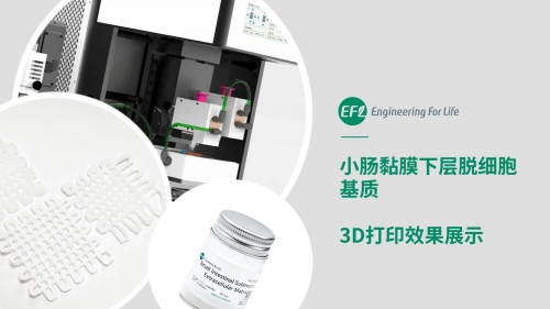 小肠黏膜下层脱细胞基质（SIS）3D打印效果