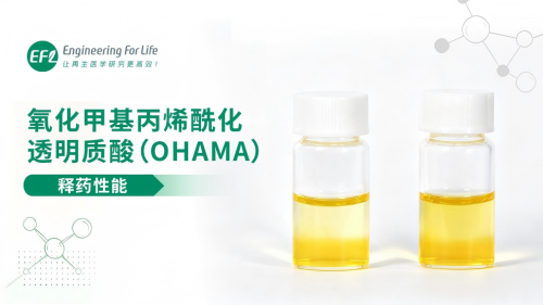 氧化甲基丙烯酰化透明质酸（OHAMA）释药性能