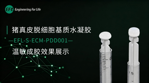 猪真皮脱细胞基质水凝胶温敏成胶效果展示