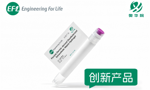 猪真皮脱细胞基质水凝胶（EFL-S-ECM-PDD001）
