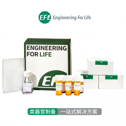 类器官制备一站式解决方案
