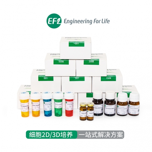 细胞2D/3D培养一站式解决方案