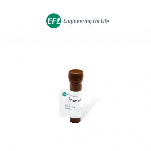 甲基丙烯酰化多巴胺（DMA）