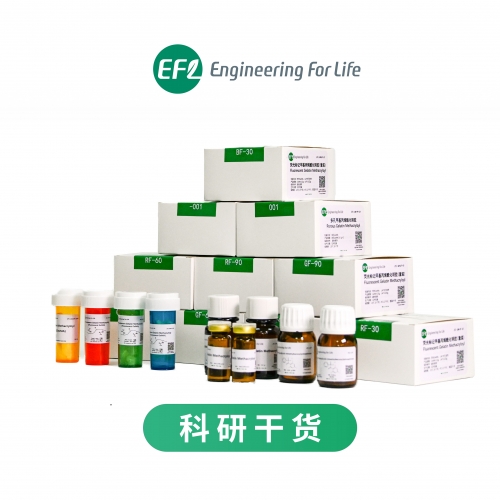 水凝胶微针降解能力表征