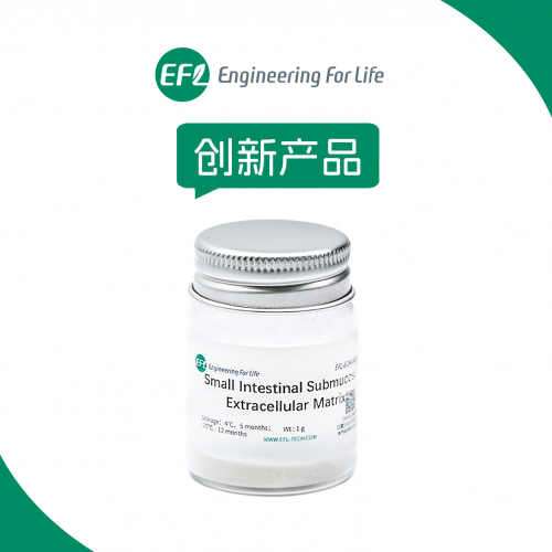 小肠黏膜下层脱细胞基质（SIS）