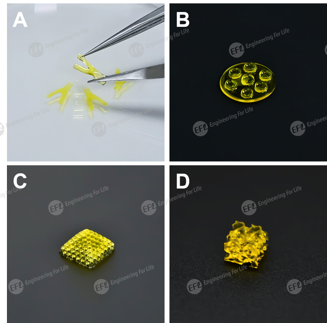 1747992010421457.jpg 图片6.jpg