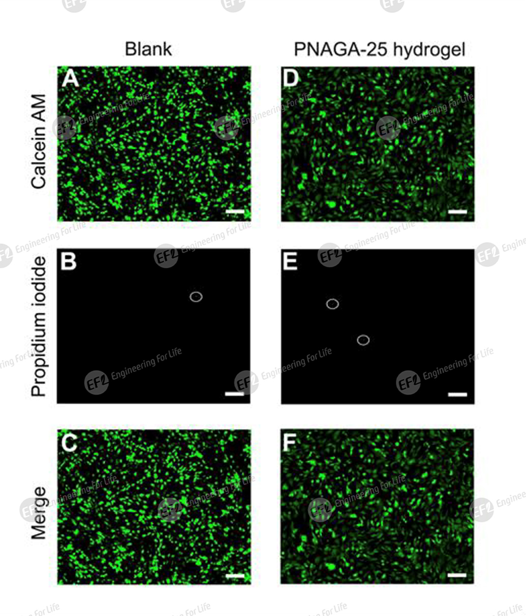 1747993026951372.jpg 图片5.jpg