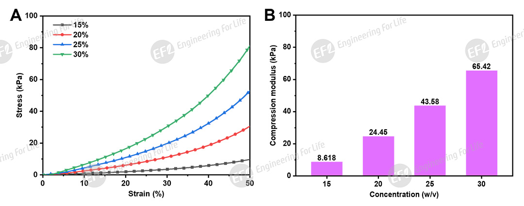 1749624264728004.jpg naga图片3.jpg