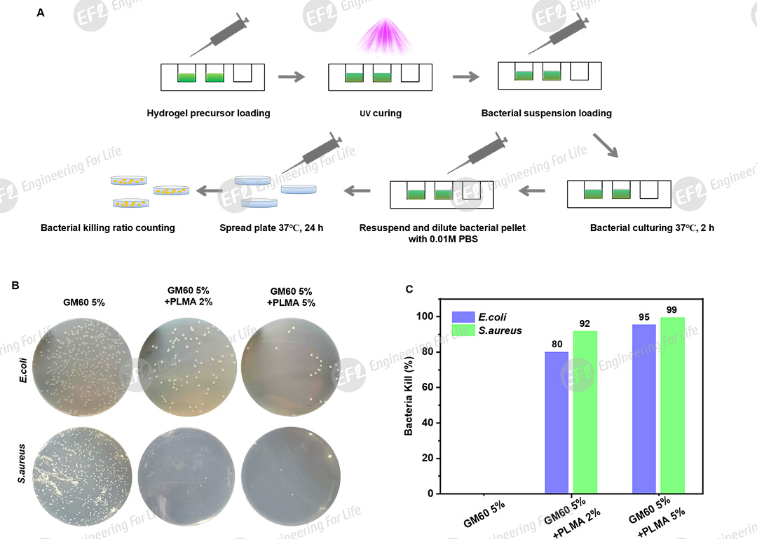 1750813552274385.jpg 图片5.jpg