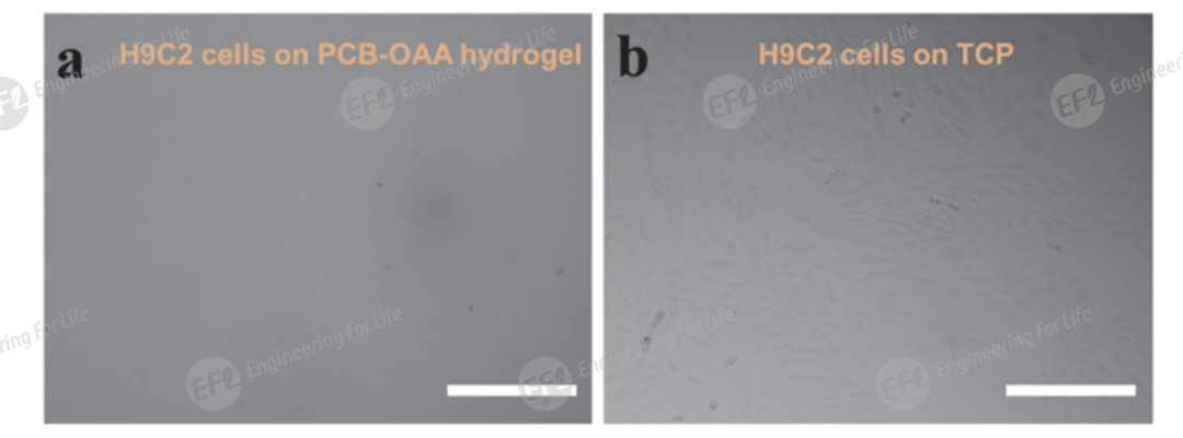 1751358872901958.jpg 图片3.jpg