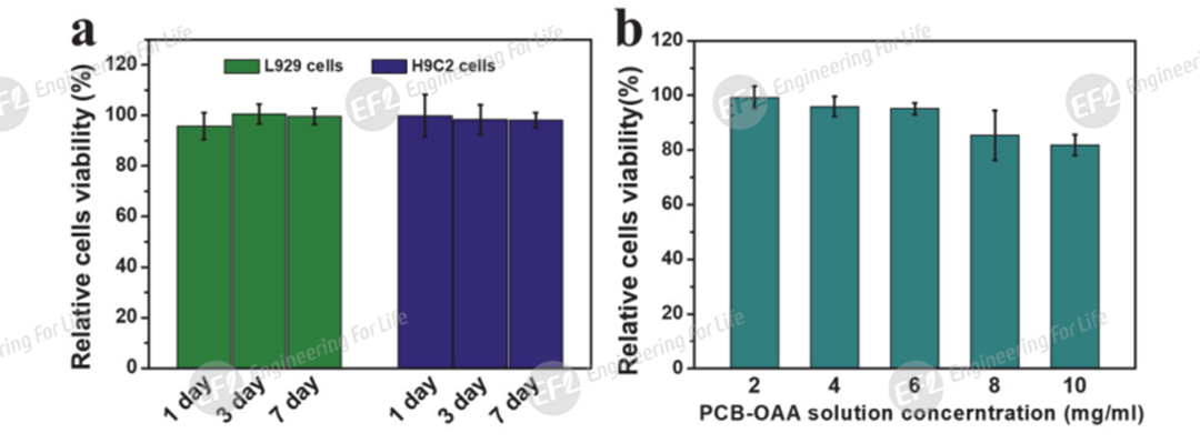 1751358947848015.jpg 图片4.jpg