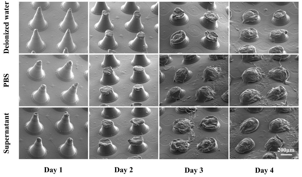 1773191860972391.png 图片2.png