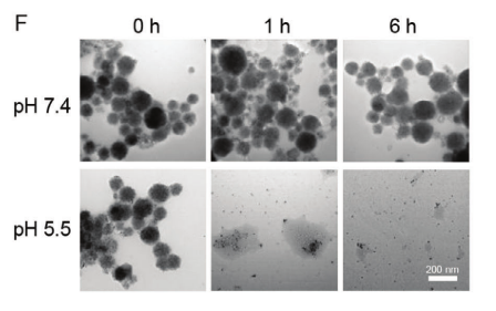 1773191896773758.png 图片4.png