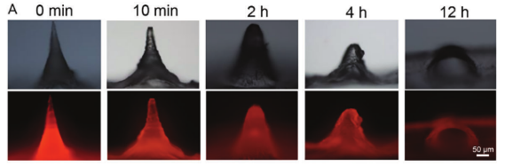 1773191904770191.png 图片5.png