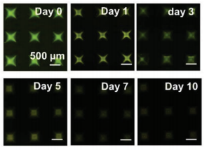 1773193029140069.png 图片3.png