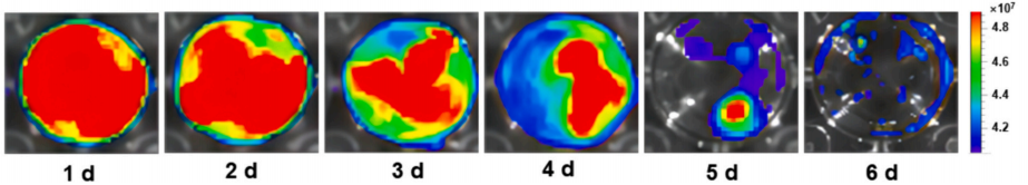 1773193036500414.png 图片4.png