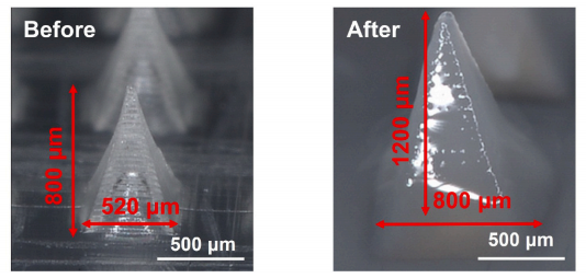 1773900701769164.png 图7.png