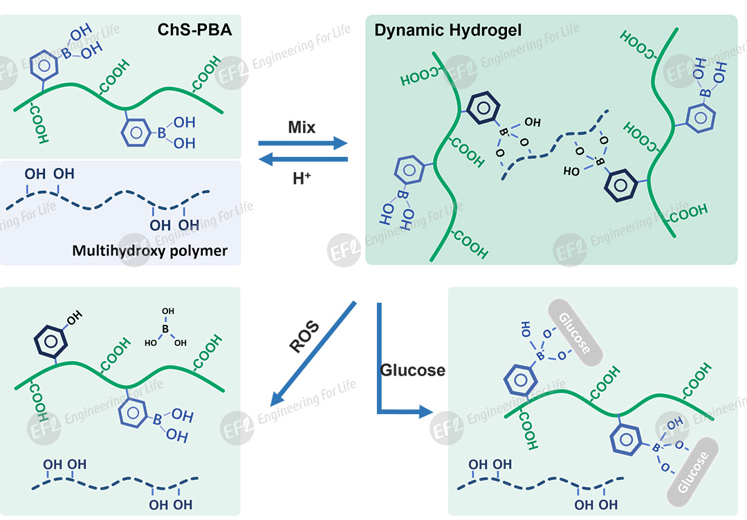 1774921866174631.jpg 图片4.jpg