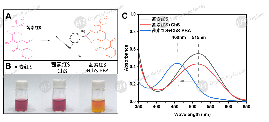 1774921916171581.jpg 图片6.jpg