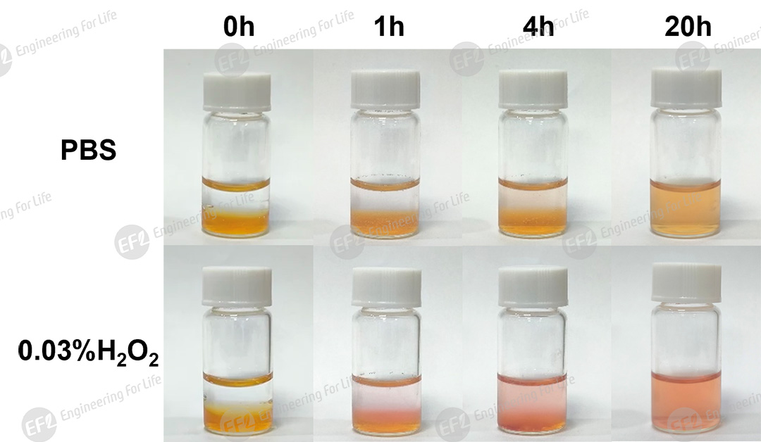 1774921938580200.jpg 图片7.jpg