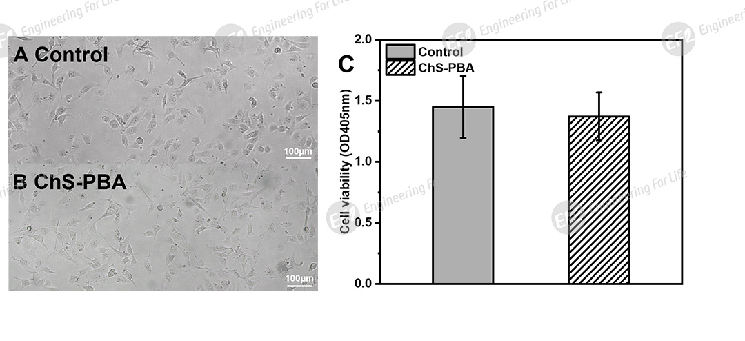 1774921959652585.jpg 图片8.jpg