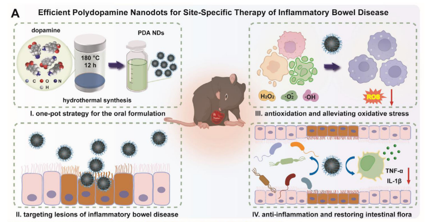 1775030880555573.png 图1.png