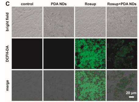 1775030897855170.png 图3.png