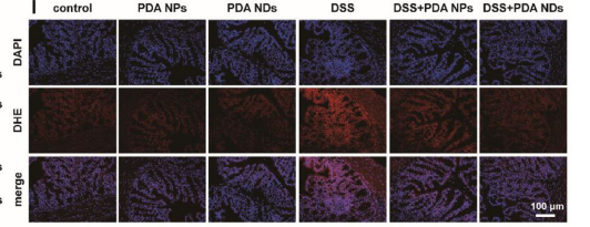 1775030905641955.png 图4.png