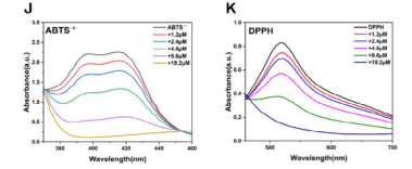 1775030924874654.png 图6.png