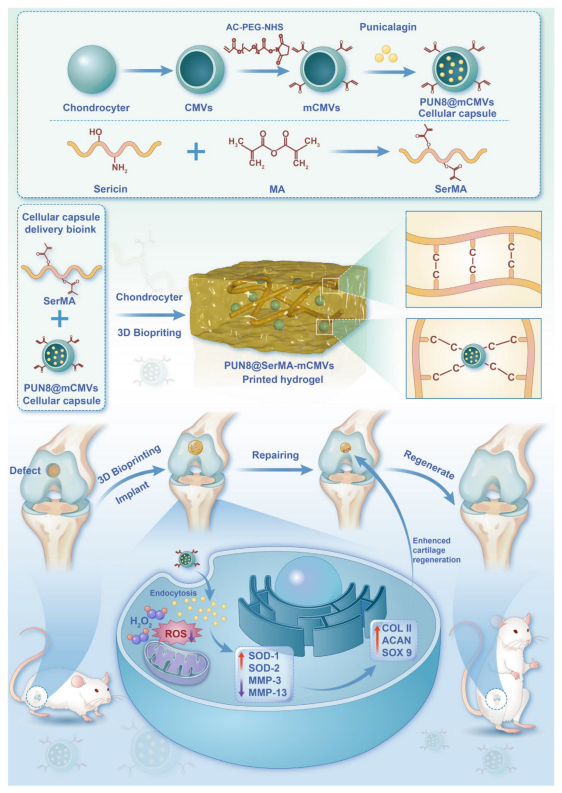 1775030950501473.png 图8.png