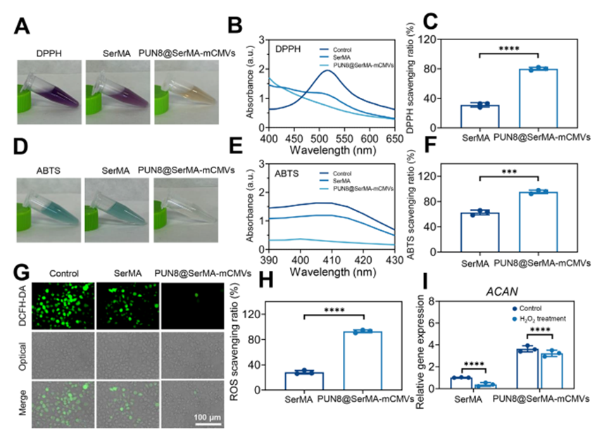 1775030959448932.png 图9.png