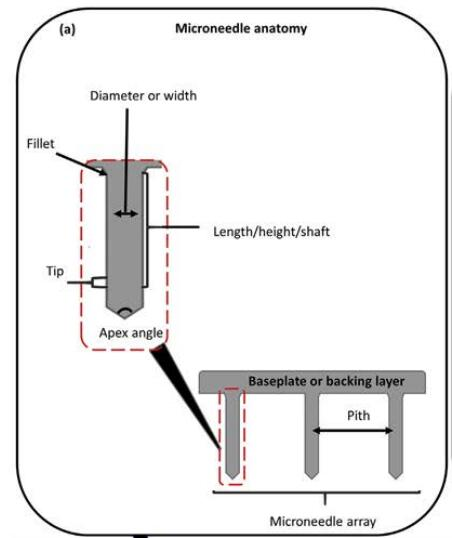 1775032581392690.png 图片2.png