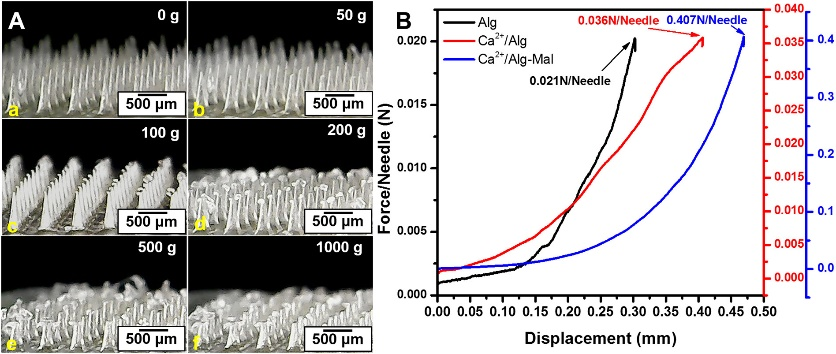 1775032607738328.png 图片5.png