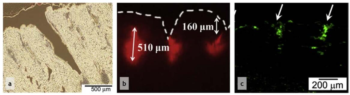 1775032624588574.png 图片6.png