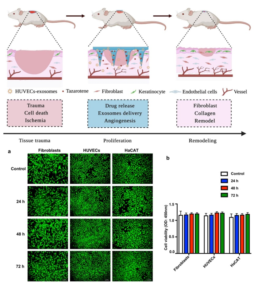1775032677275172.png 图片11.png
