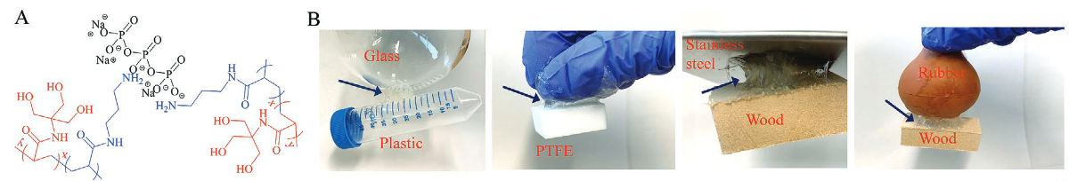 1775725387843210.png 图片1.png