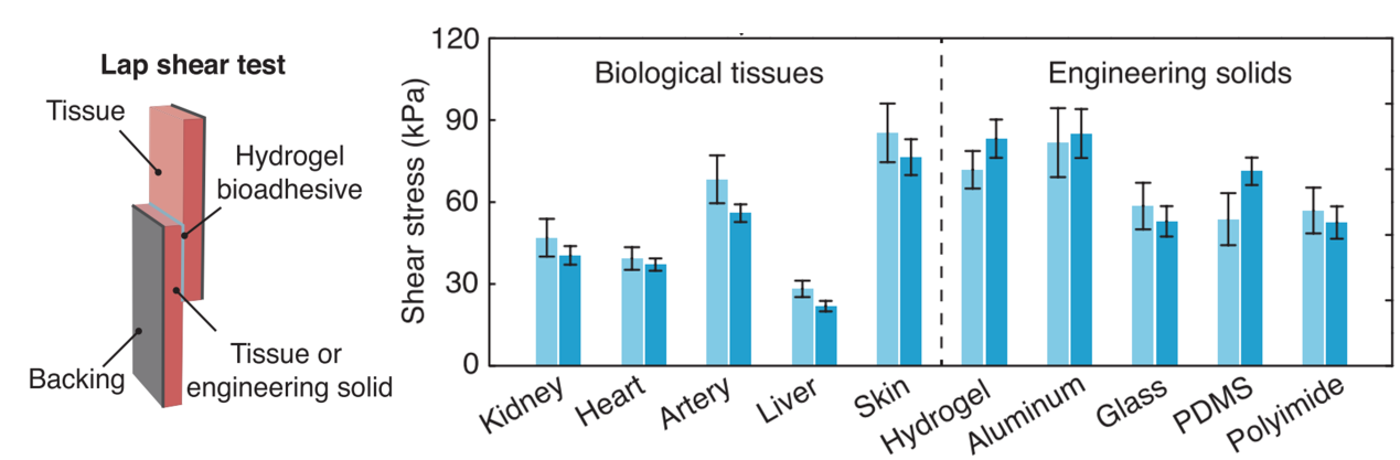 1775725558257904.png 图片4.png