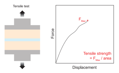 1775725570828912.png 图片5.png