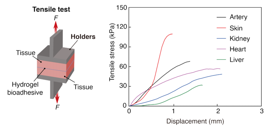 1775782675280405.png 图片6.png
