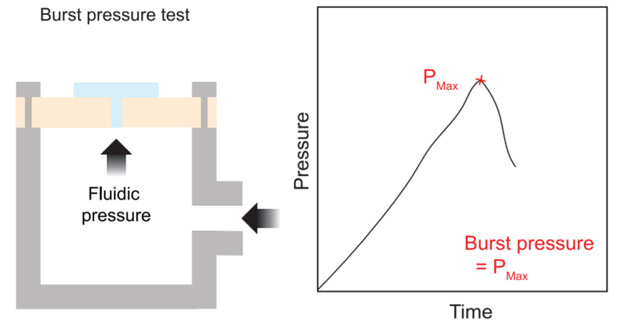 1775782697824894.png 图片9.png