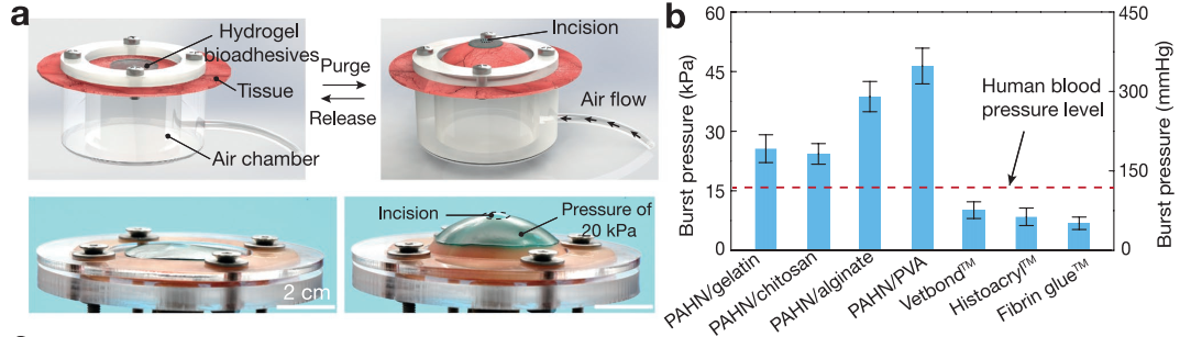 1775782705281231.png 图片10.png