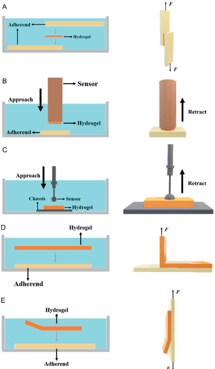 1775782731811340.png 图片12.png