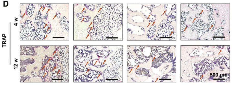 1775788571224685.png 图片3.png