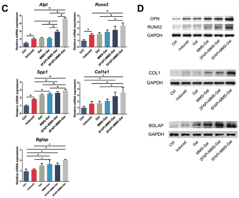 1775788624989405.png 图片4.png