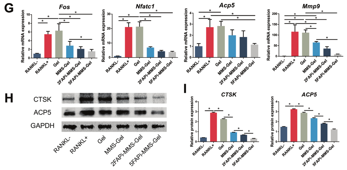 1775788638106341.png 图片5.png